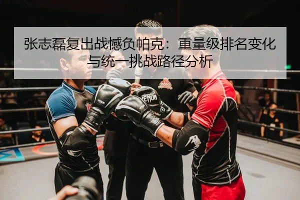 张志磊复出战憾负帕克：重量级排名变化与统一挑战路径分析