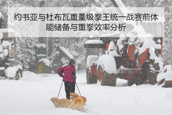 约书亚与杜布瓦重量级拳王统一战赛前体能储备与重拳效率分析