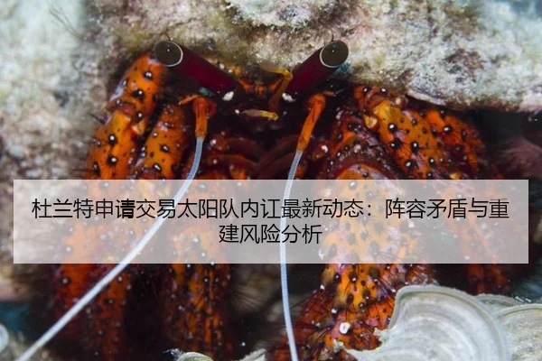 杜兰特申请交易太阳队内讧最新动态：阵容矛盾与重建风险分析